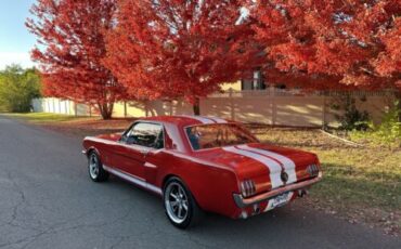 Ford-Mustang-Coupe-1965-10