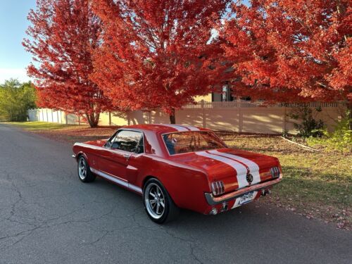 Ford-Mustang-Coupe-1965-10