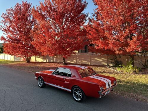 Ford-Mustang-Coupe-1965-11