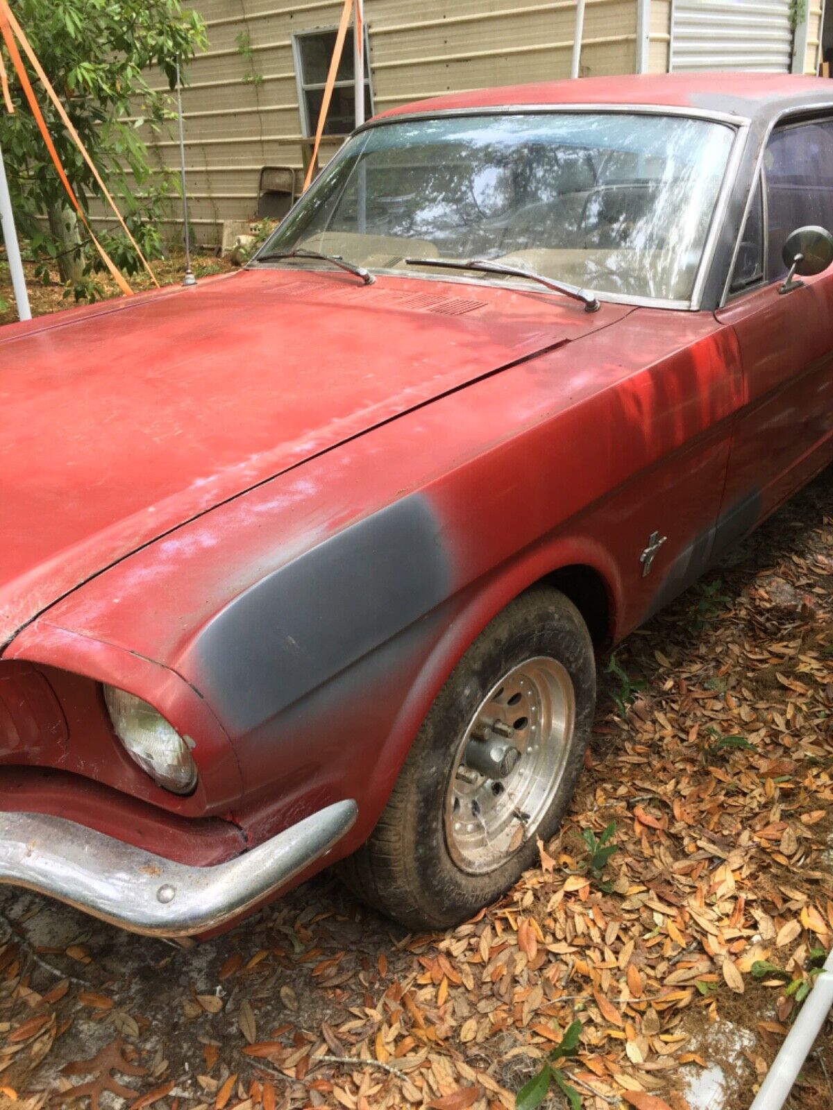 Ford-Mustang-Coupe-1965-17