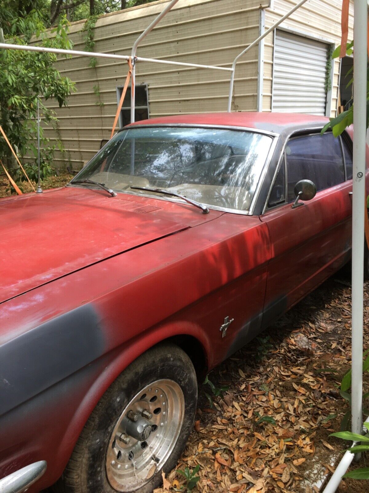 Ford-Mustang-Coupe-1965-18