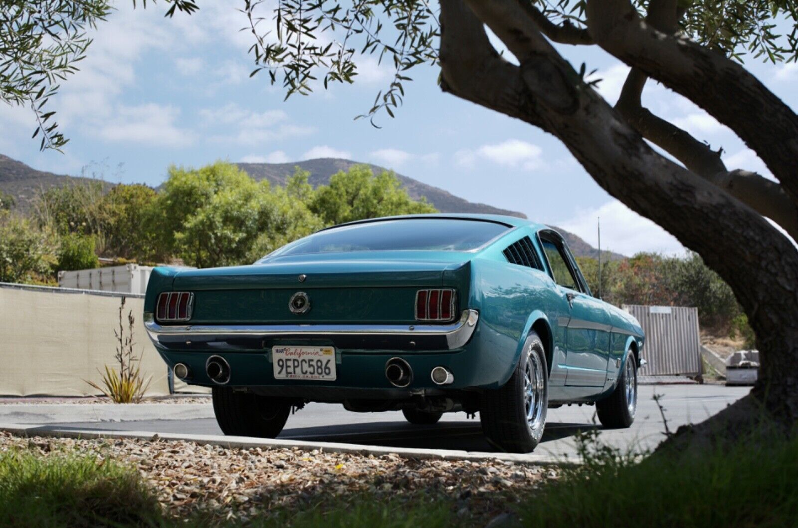 Ford-Mustang-Coupe-1965-19