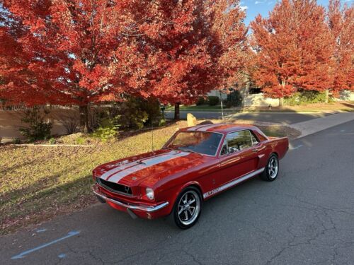 Ford-Mustang-Coupe-1965-2