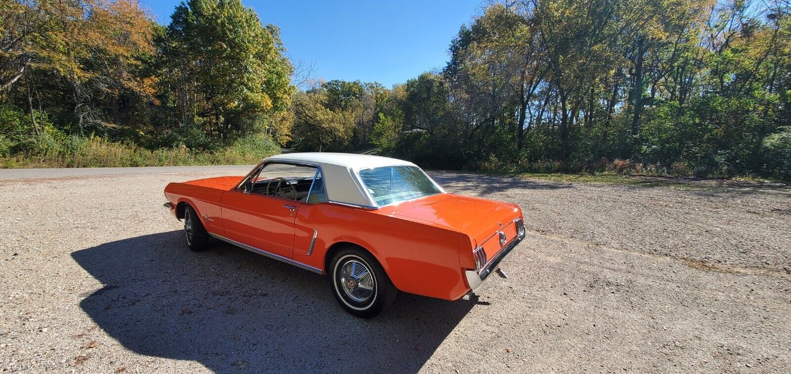 Ford-Mustang-Coupe-1965-3