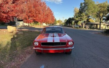 Ford-Mustang-Coupe-1965-3