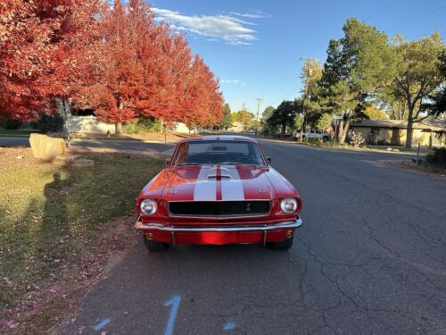 Ford-Mustang-Coupe-1965-3