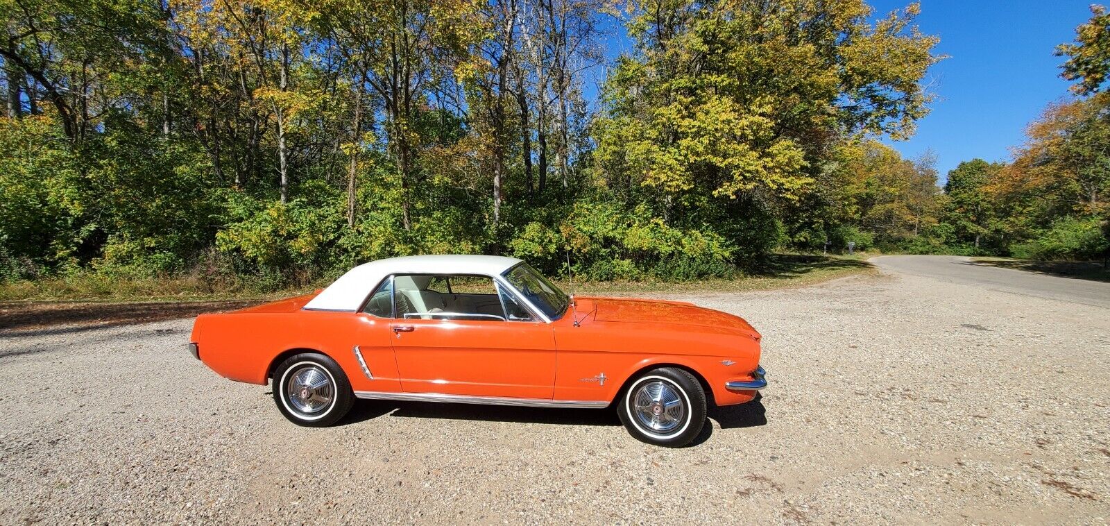 Ford-Mustang-Coupe-1965-39