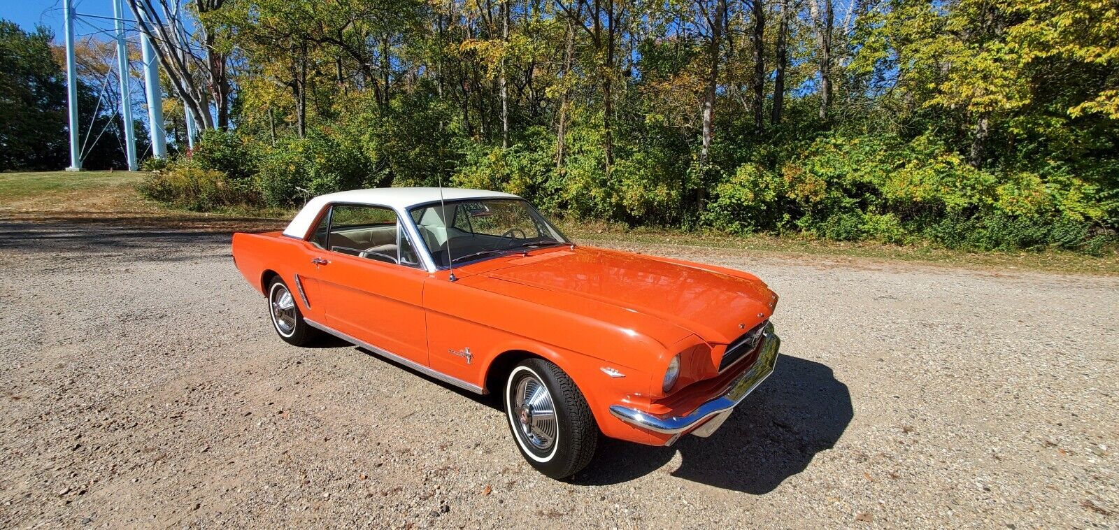 Ford Mustang Coupe 1965