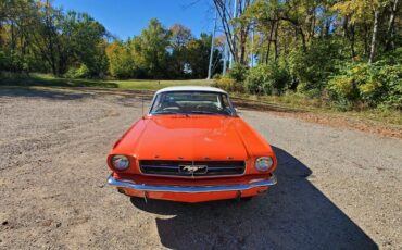 Ford-Mustang-Coupe-1965-5