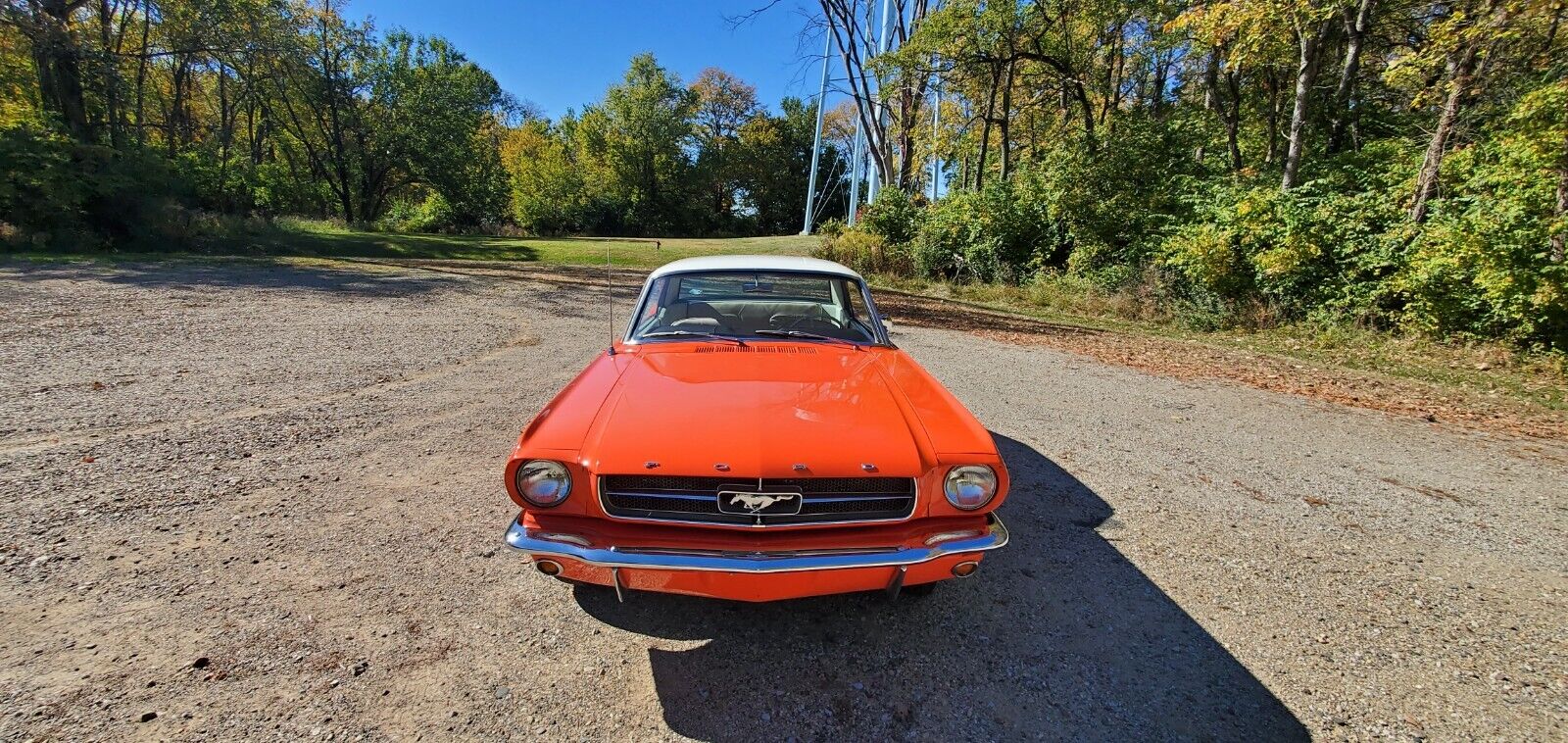 Ford-Mustang-Coupe-1965-5