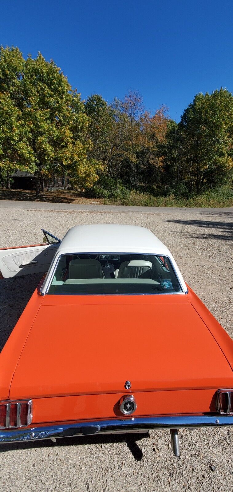 Ford-Mustang-Coupe-1965-6