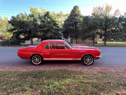 Ford-Mustang-Coupe-1965-6