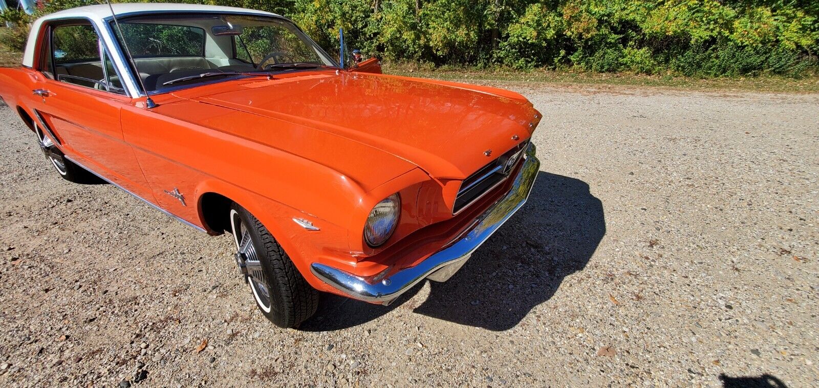 Ford-Mustang-Coupe-1965-8