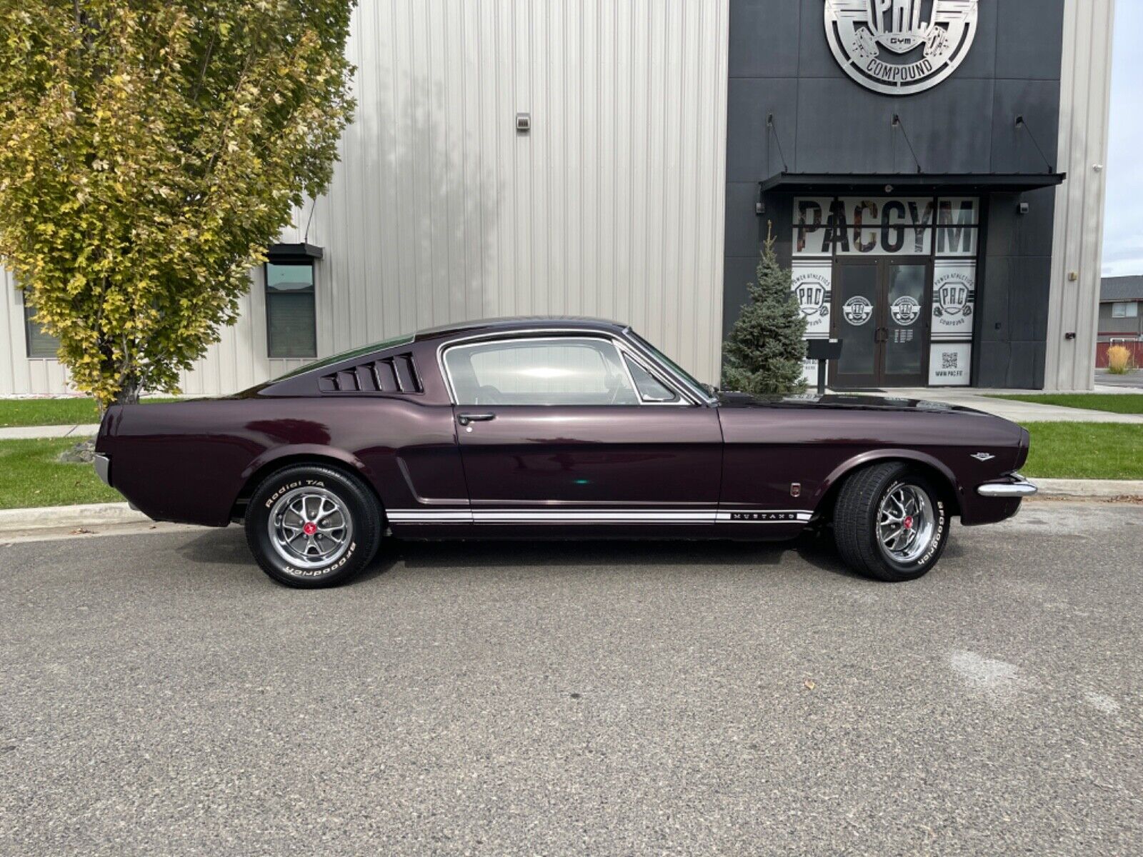 Ford-Mustang-Coupe-1966-12