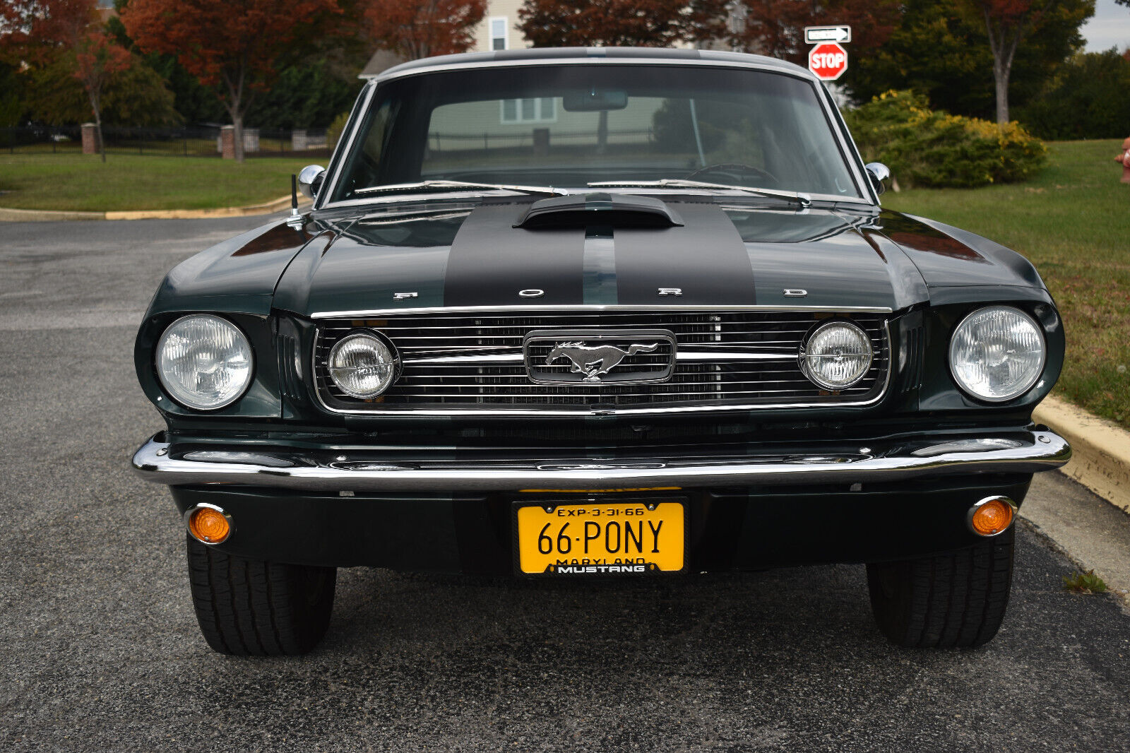 Ford-Mustang-Coupe-1966-3