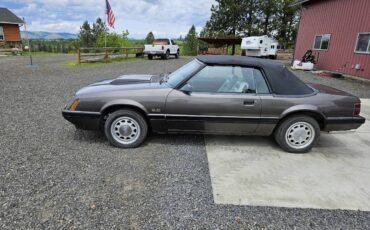 Ford-Mustang-gt-convertible-1985-5