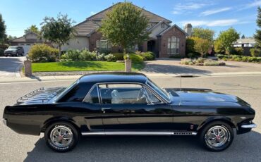 Ford-Mustang-gt-coupe-1965-19