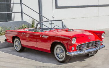 Ford-Thunderbird-1955-2