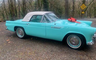 Ford-Thunderbird-1955-3