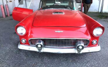 Ford-Thunderbird-1956-3