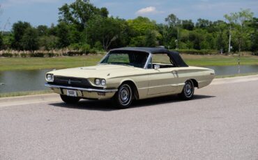 Ford-Thunderbird-1966-17