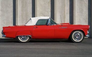 Ford-Thunderbird-Cabriolet-1955-2