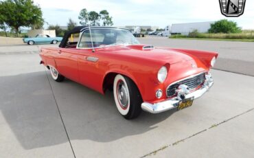 Ford-Thunderbird-Cabriolet-1955-6