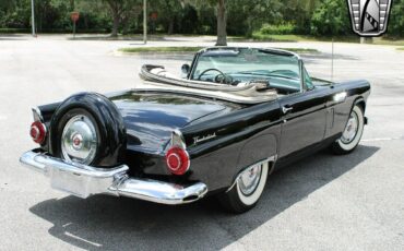 Ford-Thunderbird-Cabriolet-1956-11