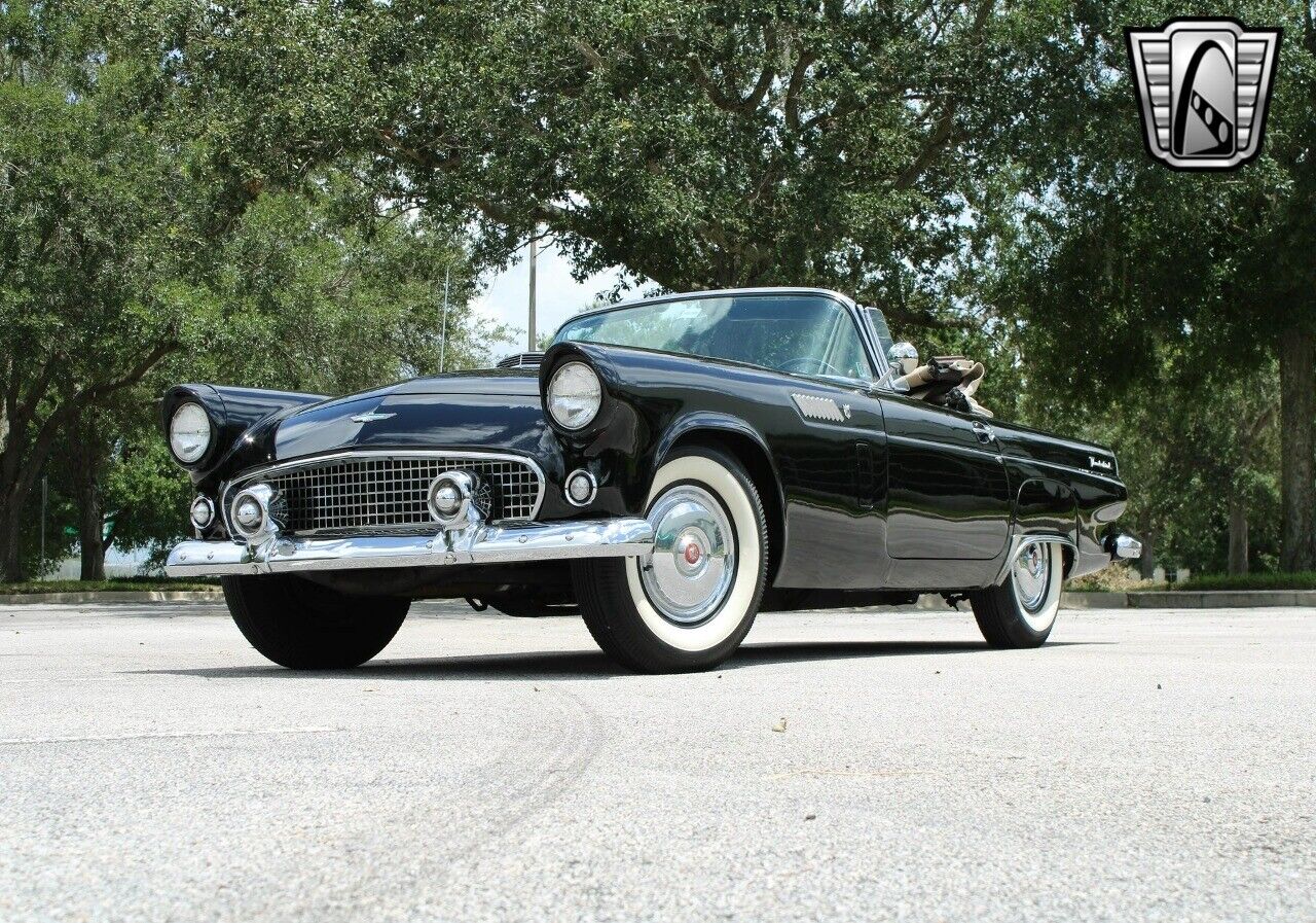 Ford-Thunderbird-Cabriolet-1956-6