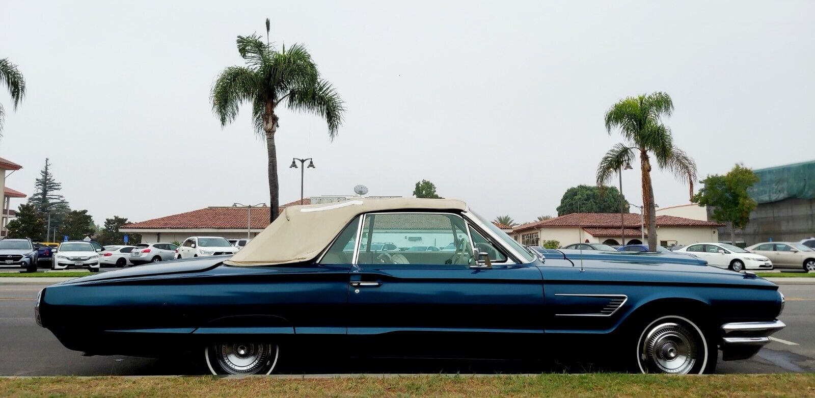 Ford-Thunderbird-Cabriolet-1965-10