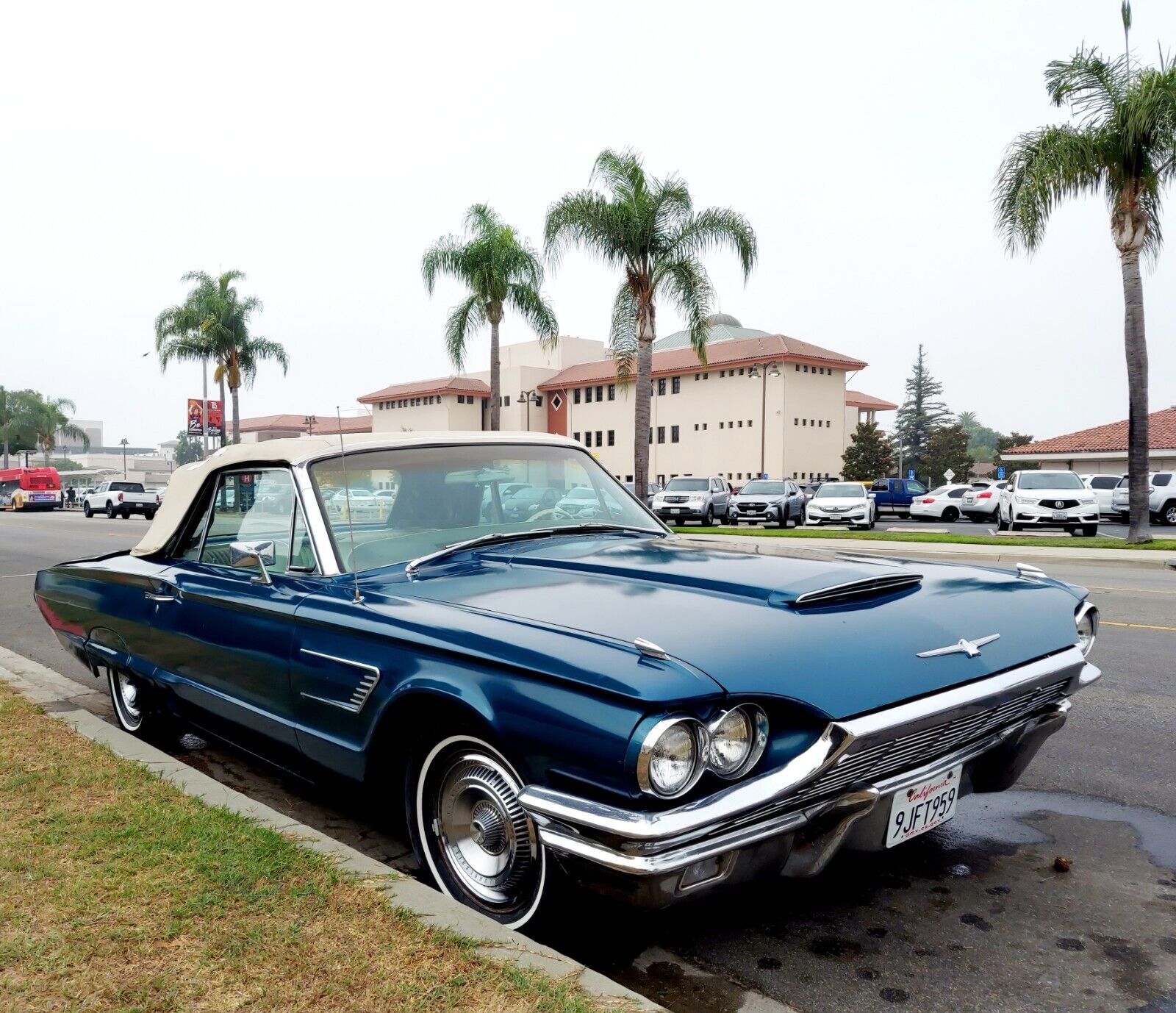 Ford-Thunderbird-Cabriolet-1965-3