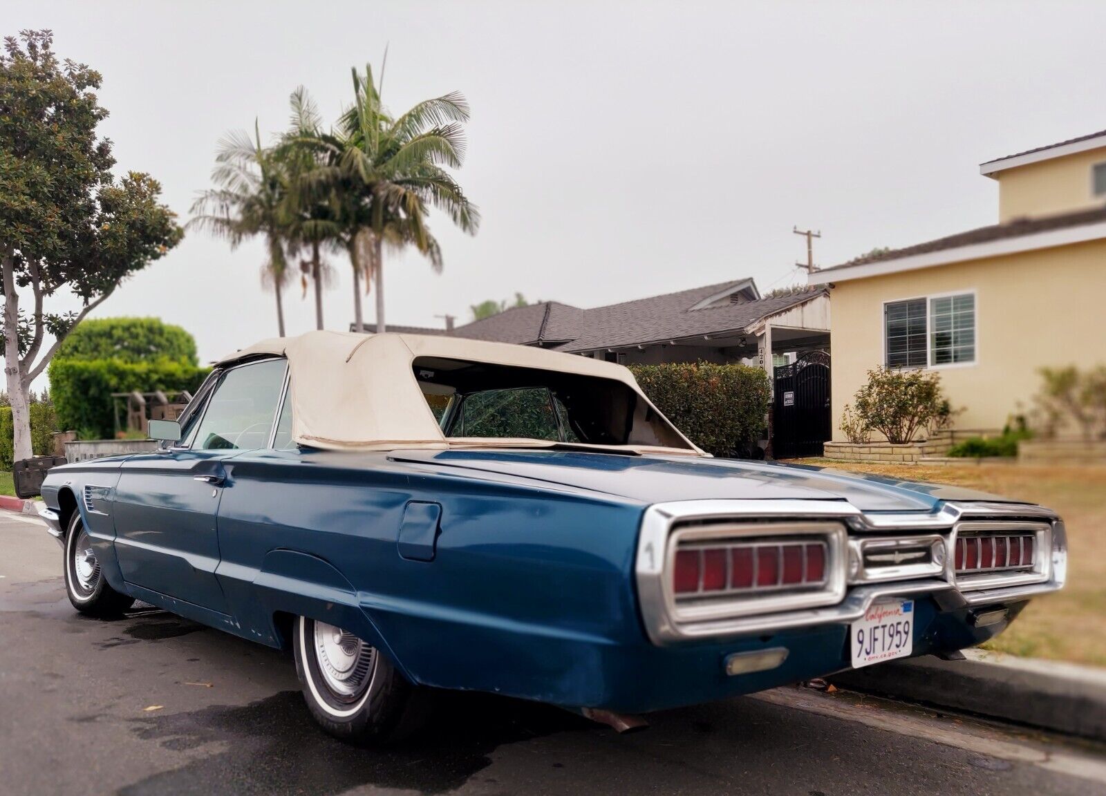 Ford-Thunderbird-Cabriolet-1965-7