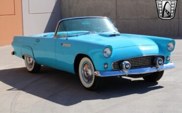 Ford-Thunderbird-Coupe-1955-5