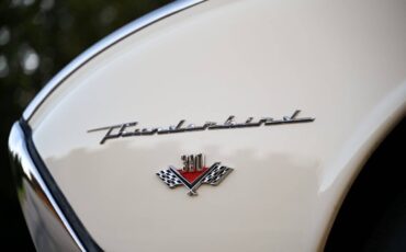 Ford-Thunderbird-Coupe-1962-19