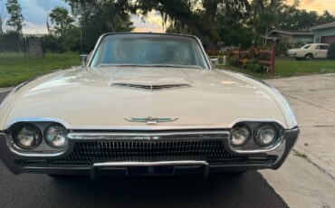 Ford-Thunderbird-coupe-1963-19