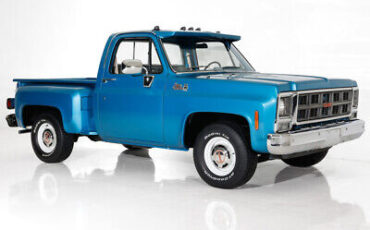 GMC-Pickup-Pickup-1979-6