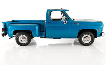 GMC-Pickup-Pickup-1979-7