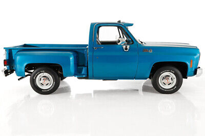 GMC-Pickup-Pickup-1979-7