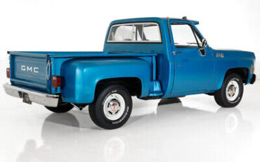 GMC-Pickup-Pickup-1979-8