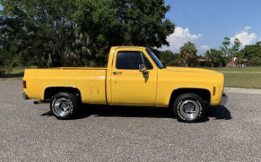 GMC-Sierra-1500-1979-4