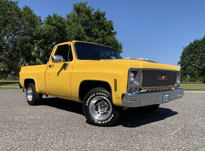 GMC-Sierra-1500-1979-8