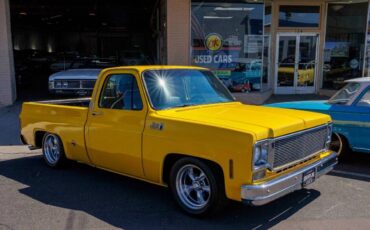 GMC-Sierra-1500-Pickup-1977-10