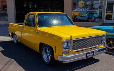 GMC-Sierra-1500-Pickup-1977-11