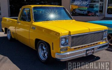 GMC Sierra 1500 Pickup 1977