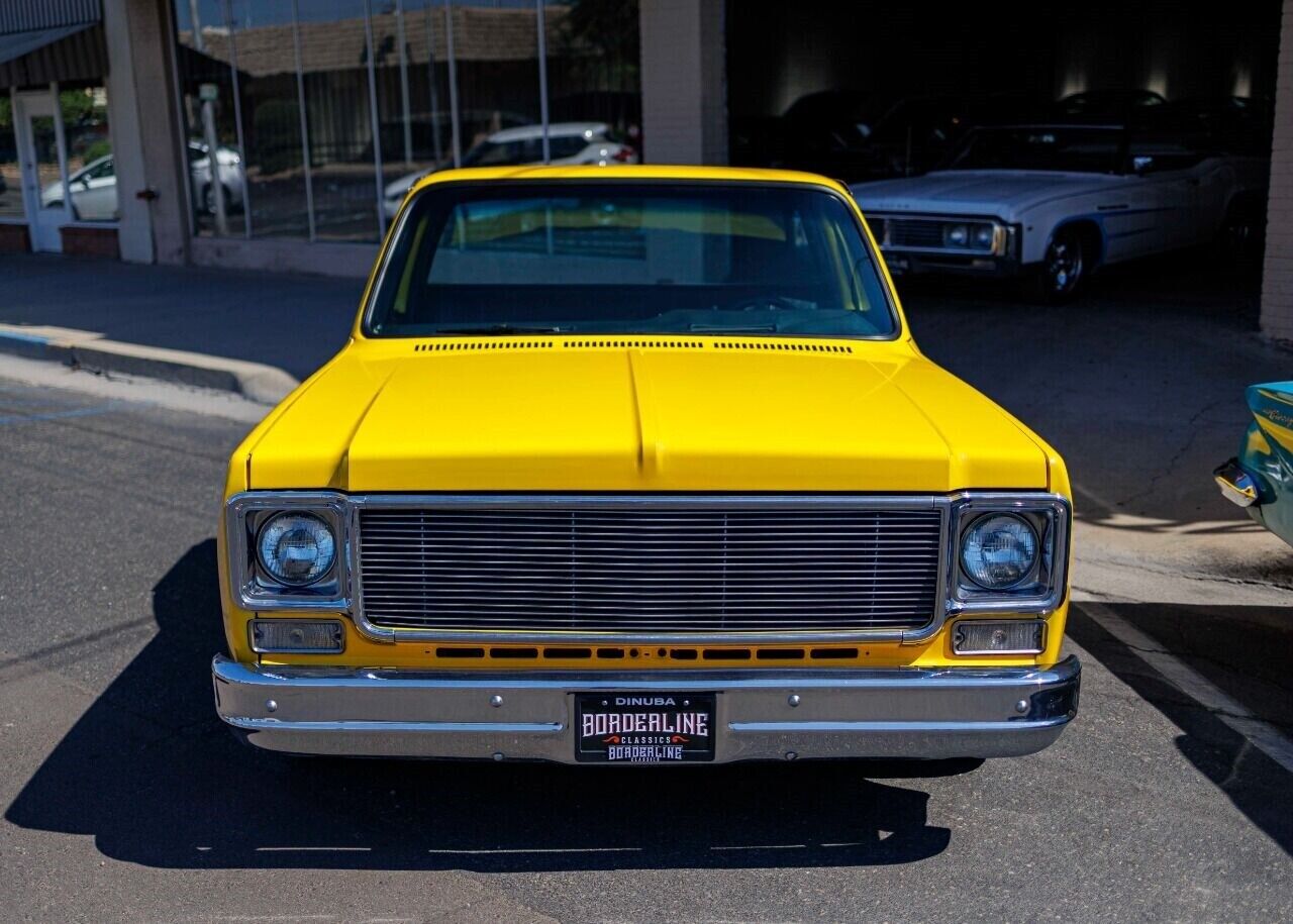 GMC-Sierra-1500-Pickup-1977-6