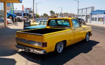 GMC-Sierra-1500-Pickup-1977-8