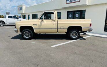 GMC-Sierra-1500-Pickup-1984-1