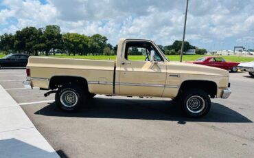 GMC-Sierra-1500-Pickup-1984-4