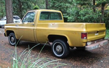 Gmc-C10-1975-1