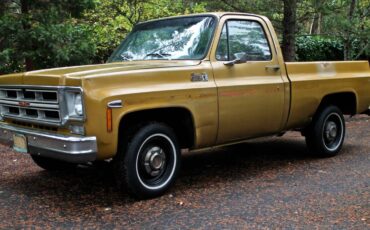 Gmc-C10-1975-20